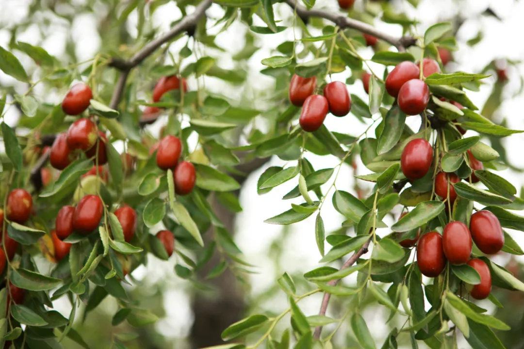 1731465341130984.png 微信图片_20241113103505.png