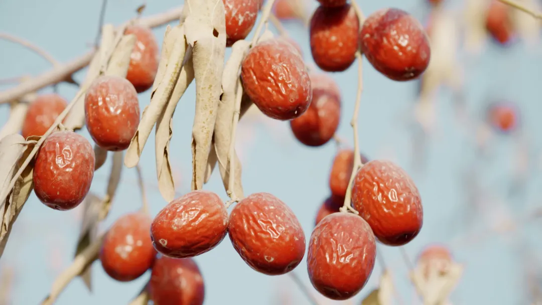 1731466261751836.png 微信图片_20241113104620.png