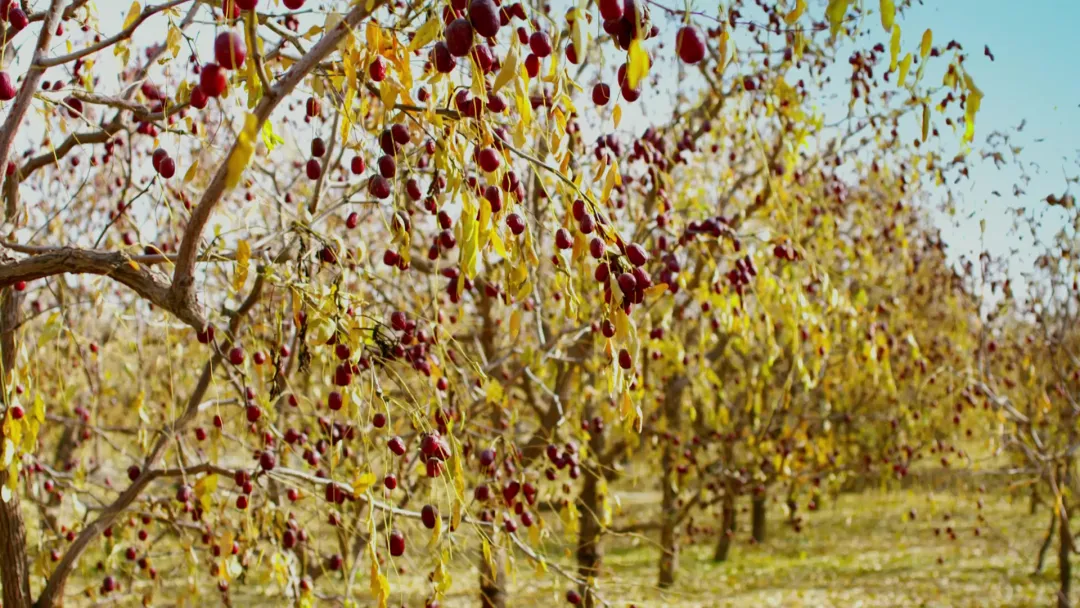 1731466302569794.png 微信图片_20241113104623.png