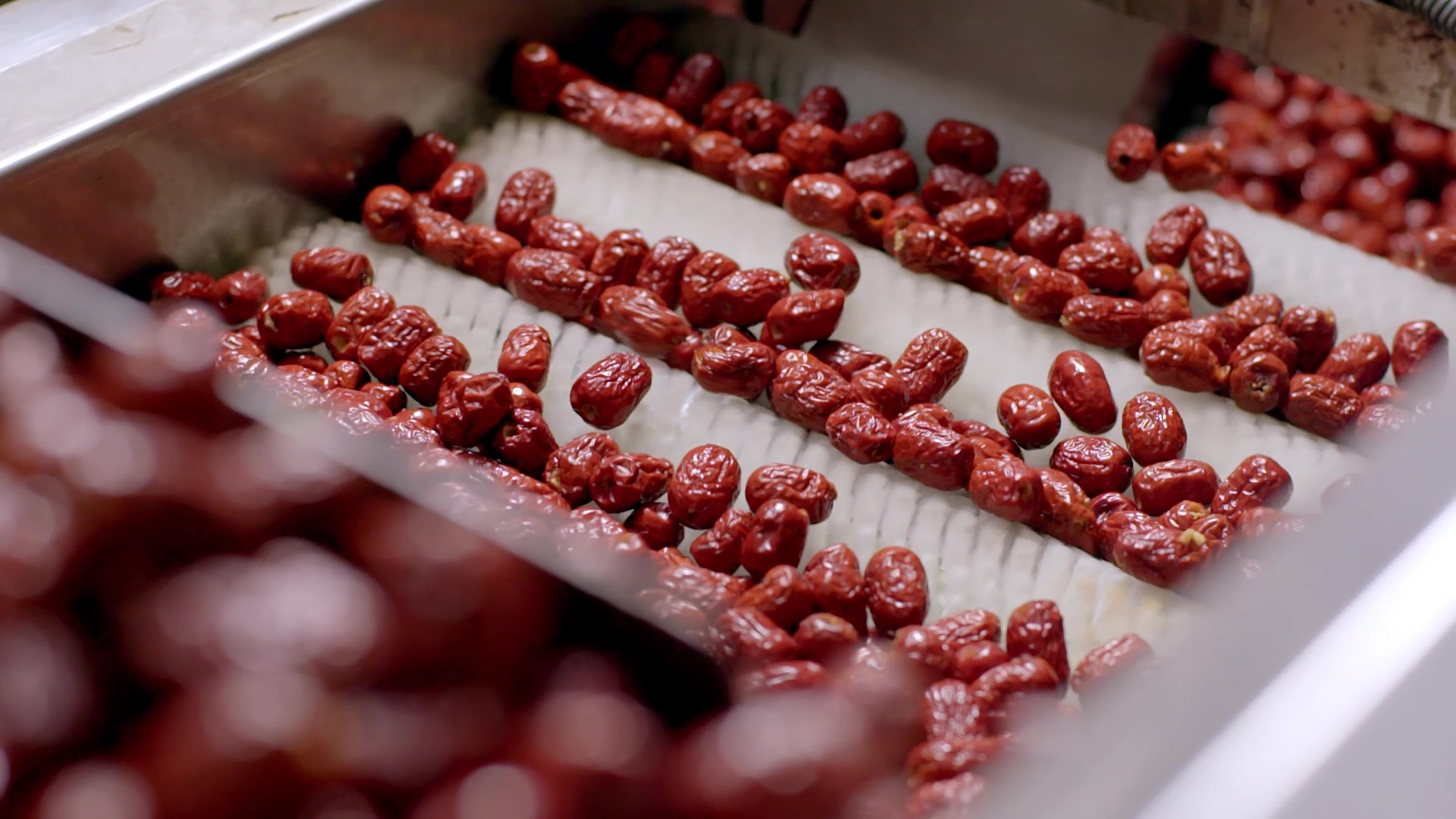 1749281446727265.jpg 去核红枣筛选.jpg