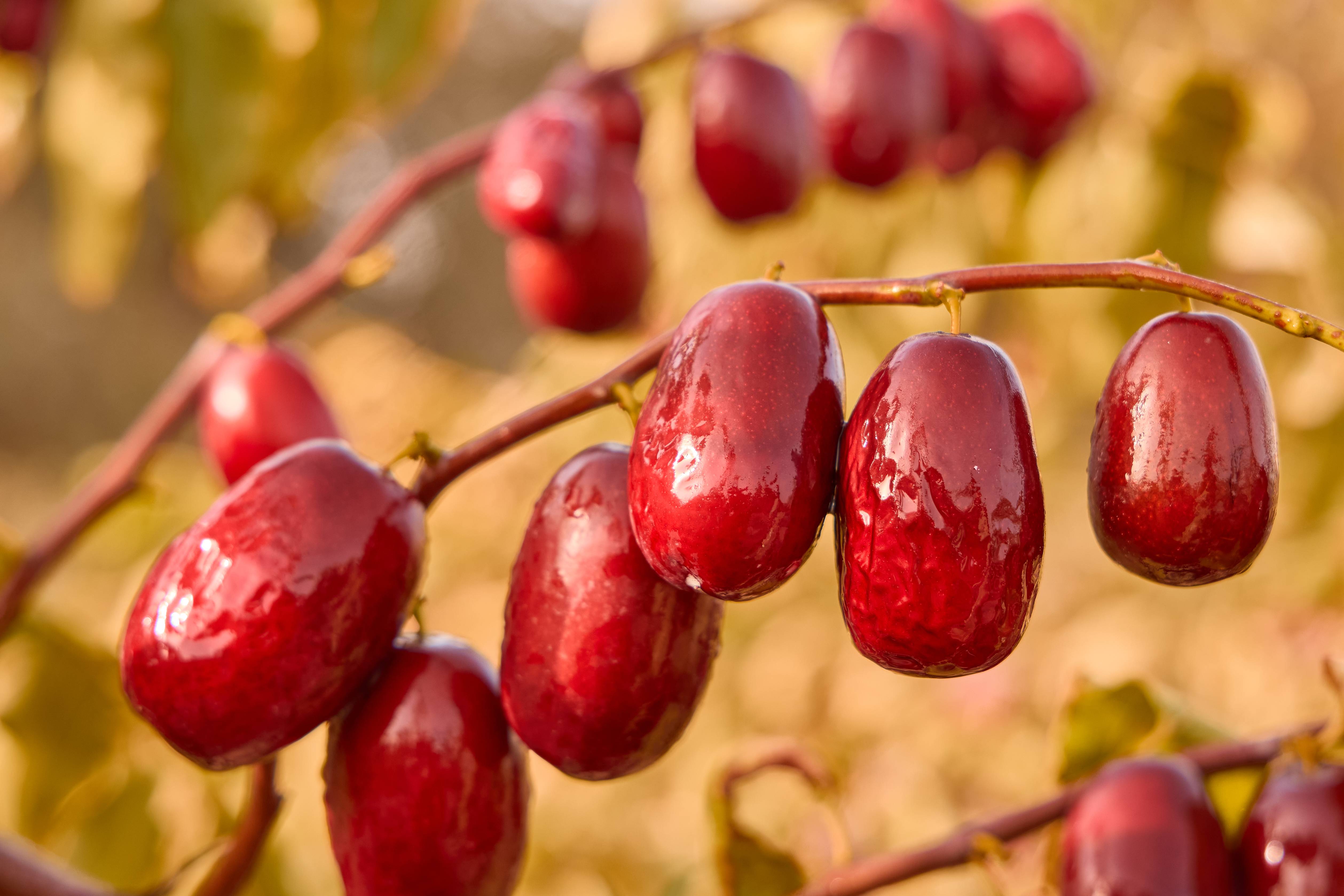 1750836764429245.jpg 微信图片_20241129161811.jpg